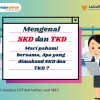 Memahami Perbedaan SKD dan TKD : Panduan Lengkap untuk Peserta Seleksi 2025