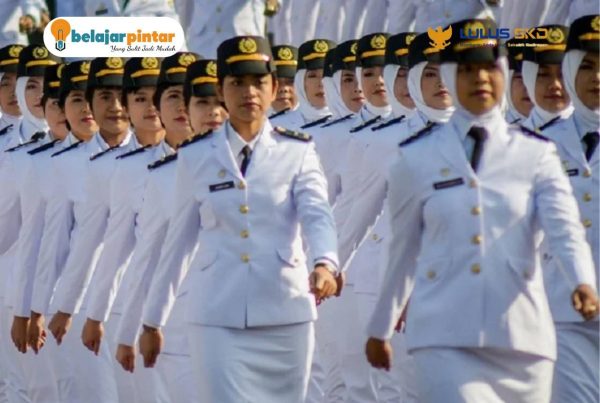 Sudah Lolos Kedinasan? Ini 5 Tahap Penting setelah lolos kedinasan